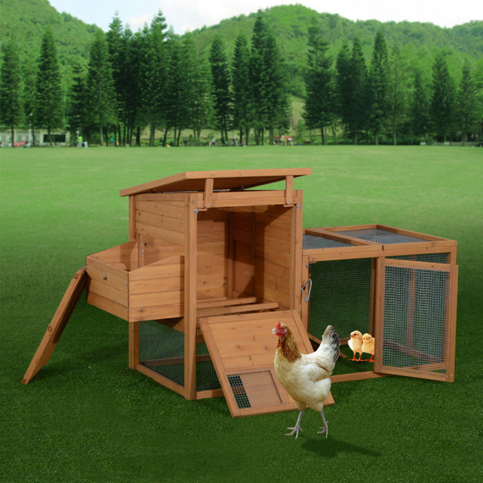 Archie & Oscar™ Auggie 21.4 Square Feet Chicken Coop with Chicken Run